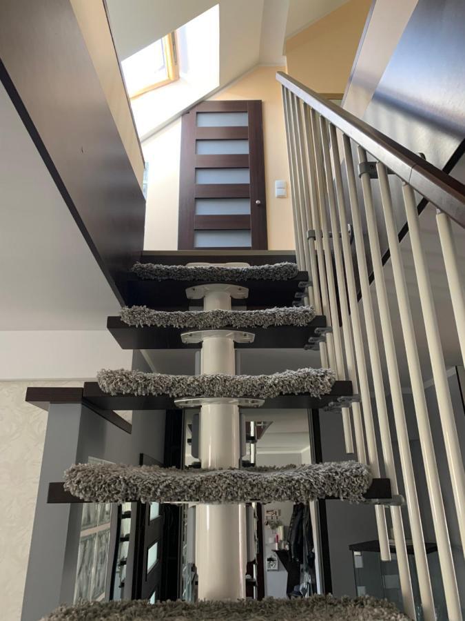 Silver Mazury Apartament Giżycko Εξωτερικό φωτογραφία